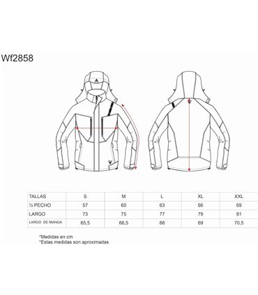 Parka con capucha acolchada marino WF2858