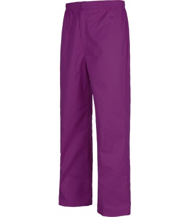 Pantalón sanitario unisex para servicios Workteam B9300