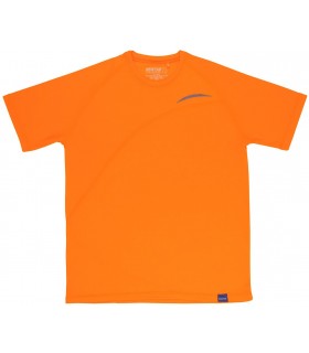 Camiseta técnica de sport Workteam S6610